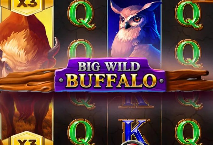 Blackjack masasında Fambet Canlı Kurpiyer Casino Deneyimi